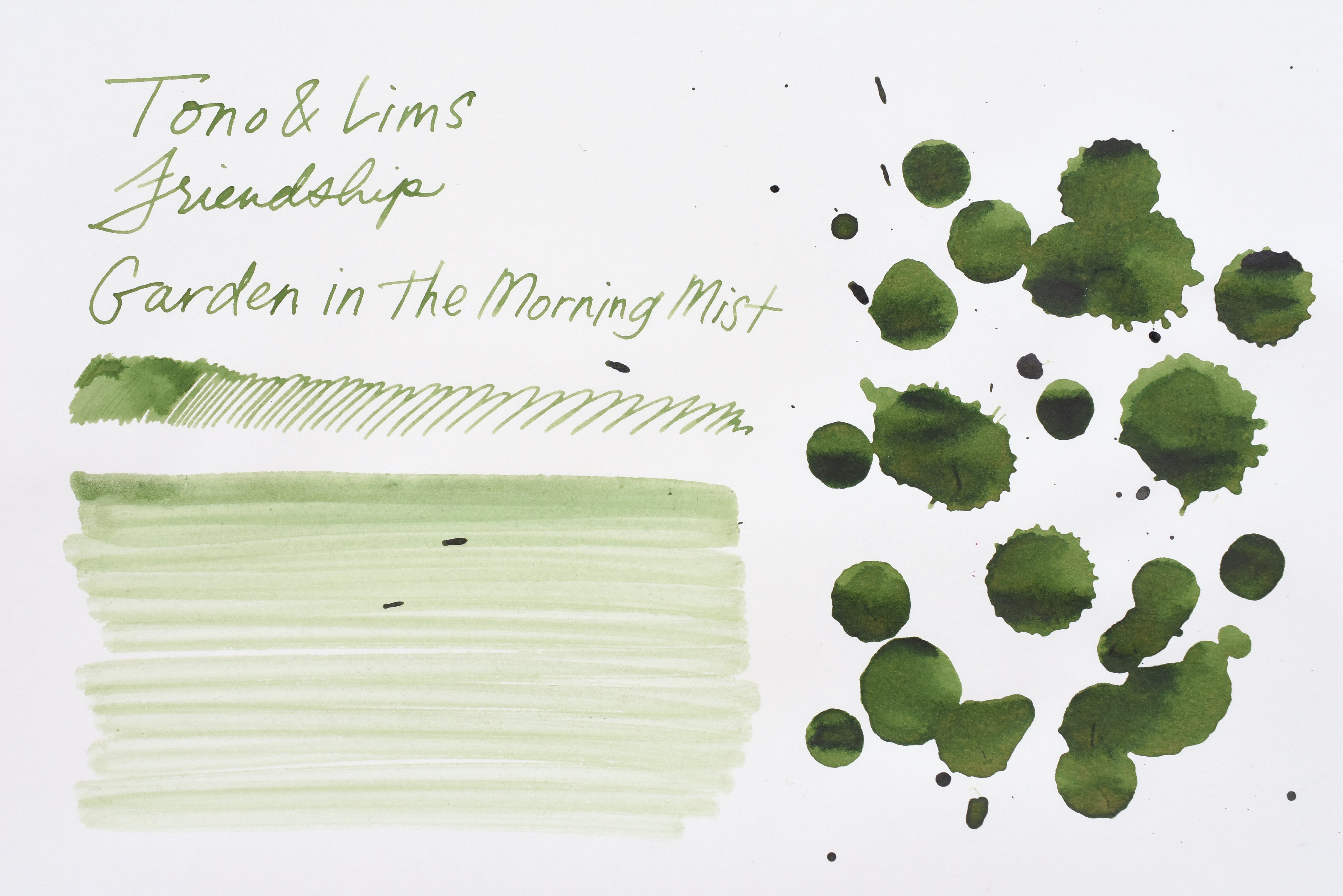 Tono & Lims Ink Bottle - Friendship - 朝靄の庭 (Garden in the Morning Mist) - 30ml