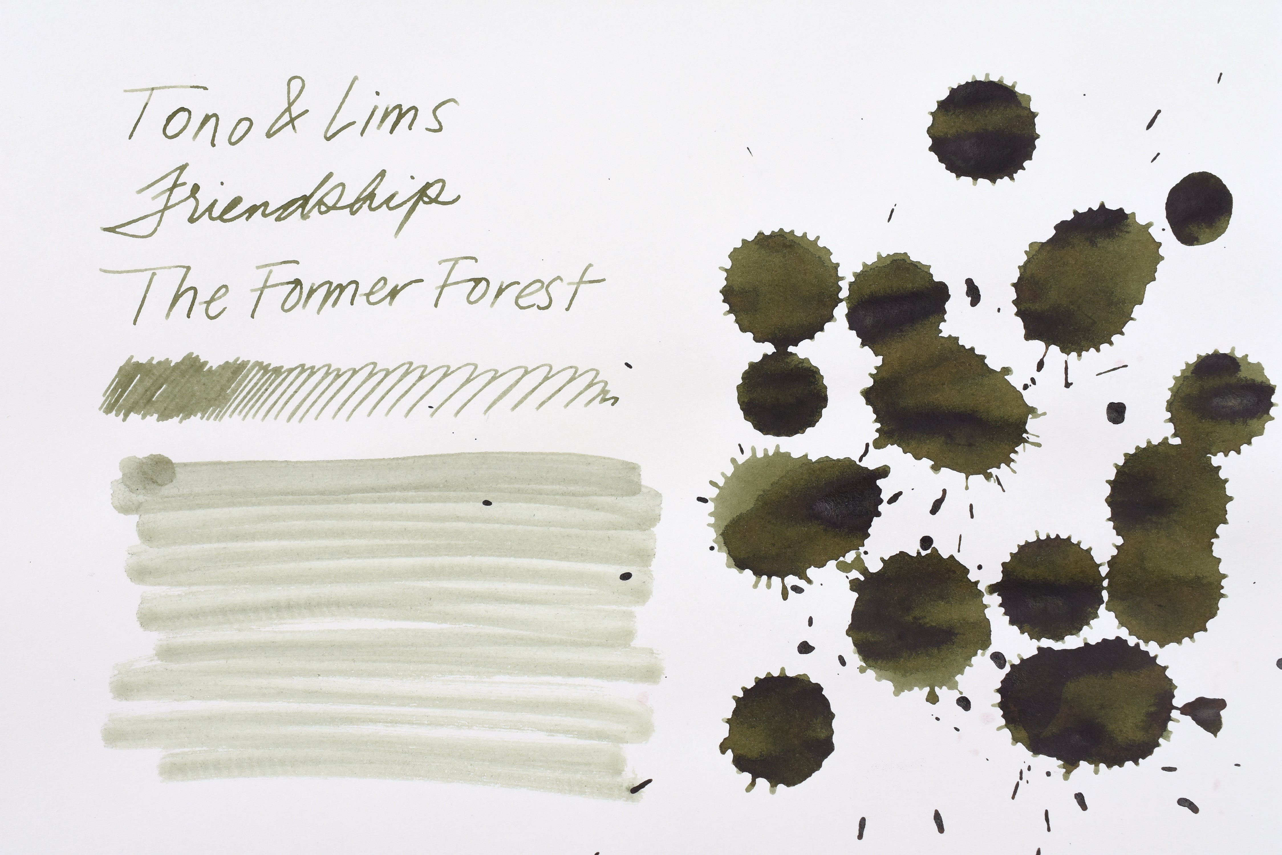 Tono & Lims Ink Bottle - Friendship - かつての森は (The Former Forest) - 30ml
