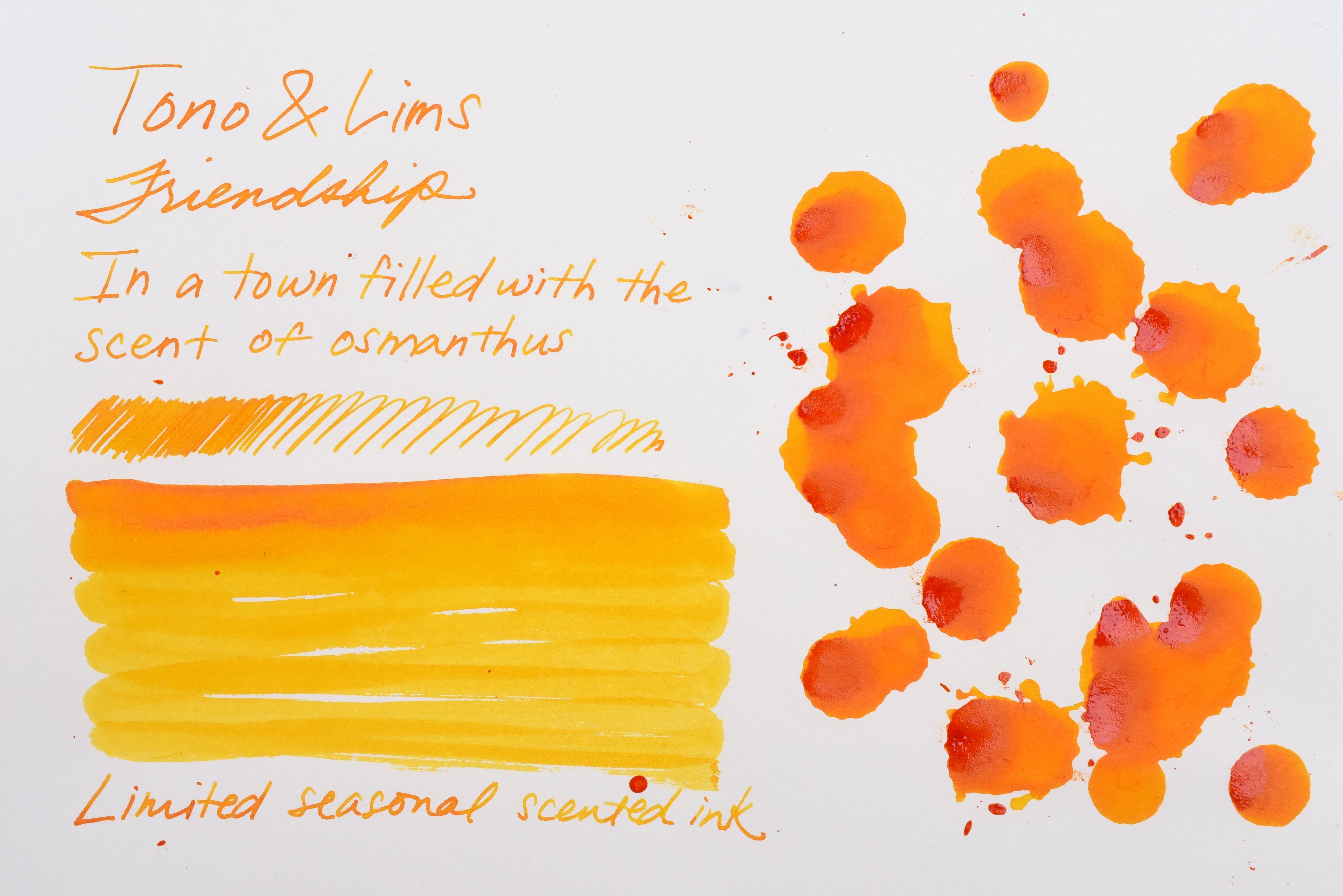 Tono & Lims Ink Bottle - Friendship - True Love 金木犀香る街で (In a town filled with the scent of osmanthus) - 30ml - Limited Seasonal