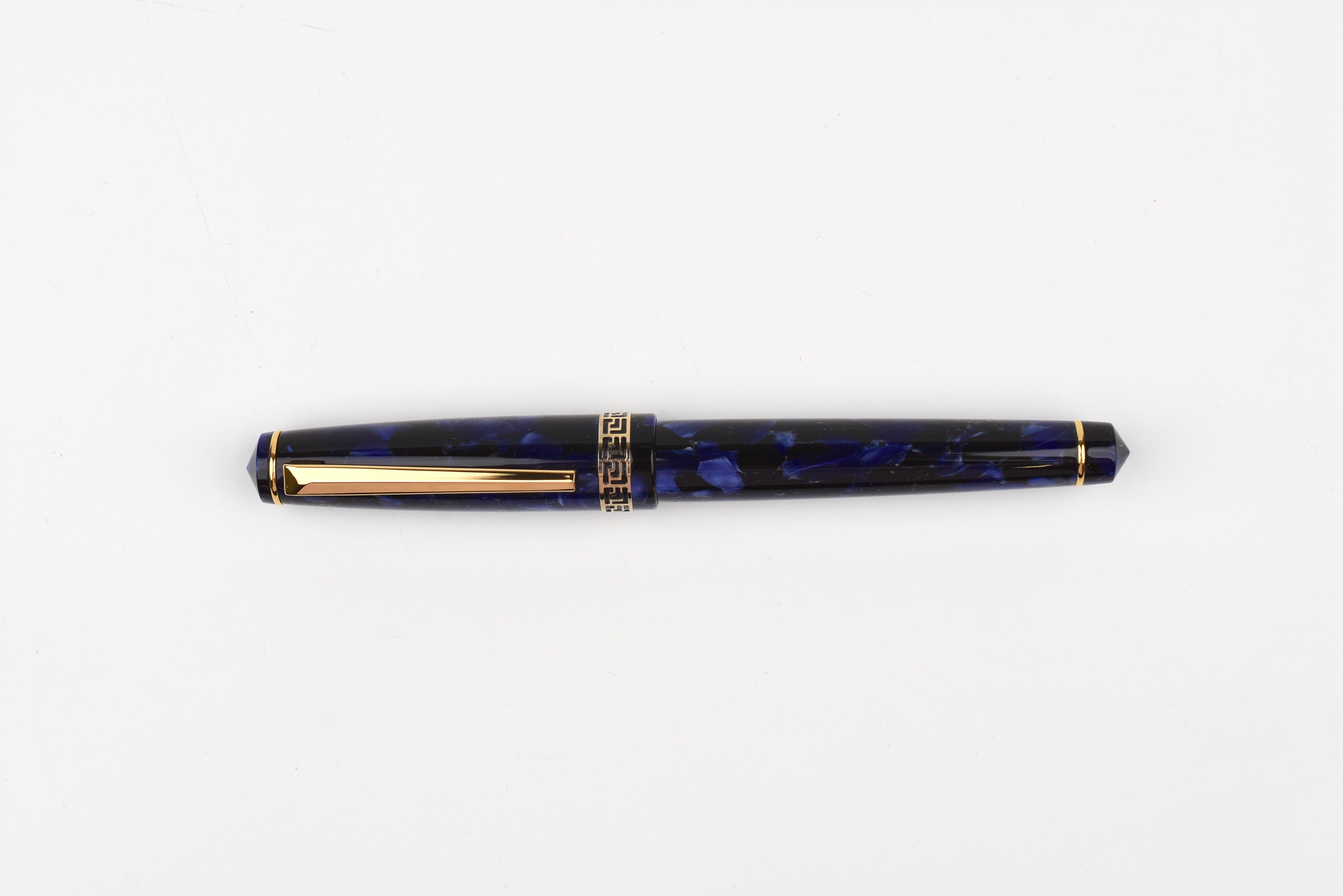 Platinum Century 3776 - Black - Gold Trim – Yoseka Stationery