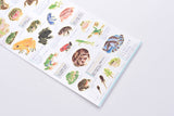 Kamio Illustrated Picture Book Stickers - Frog