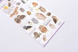 Kamio Illustrated Picture Book Stickers - Owl