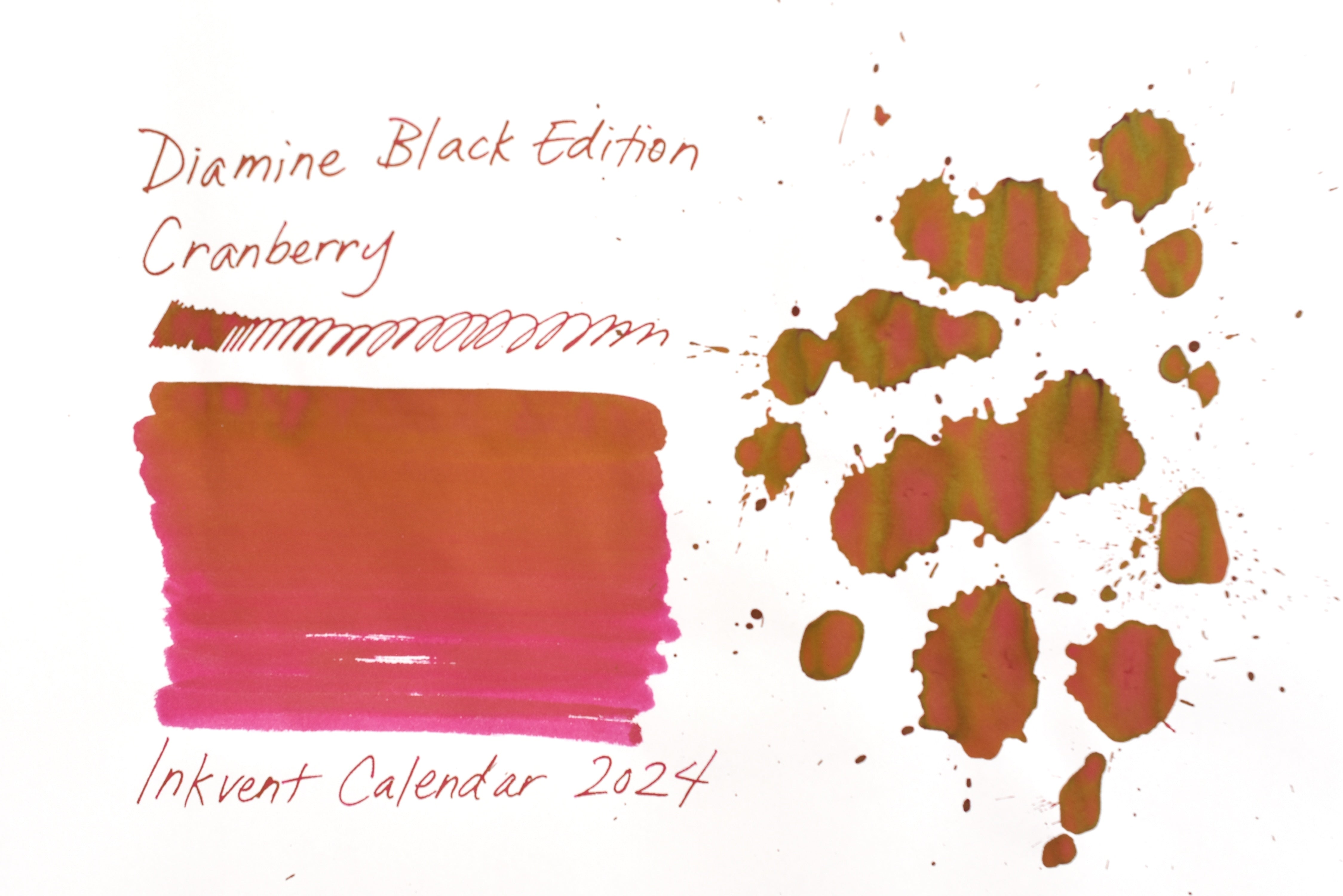 Diamine Black Edition - Standard - Cranberry