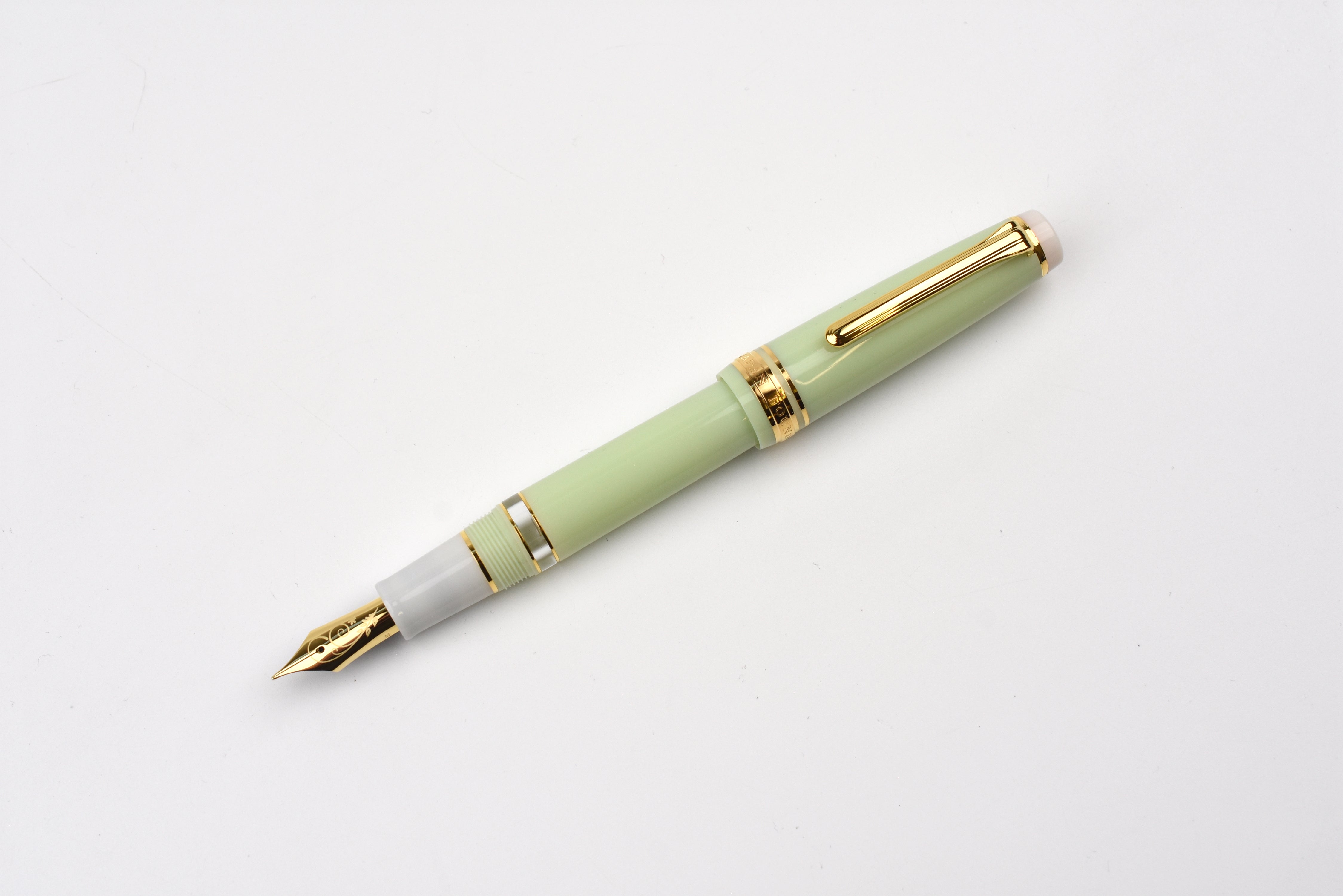Poesie Original Piston Fountain Pen - New Buds - Limited Edition