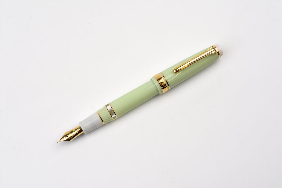 Poesie Original Piston Fountain Pen - New Buds - Limited Edition