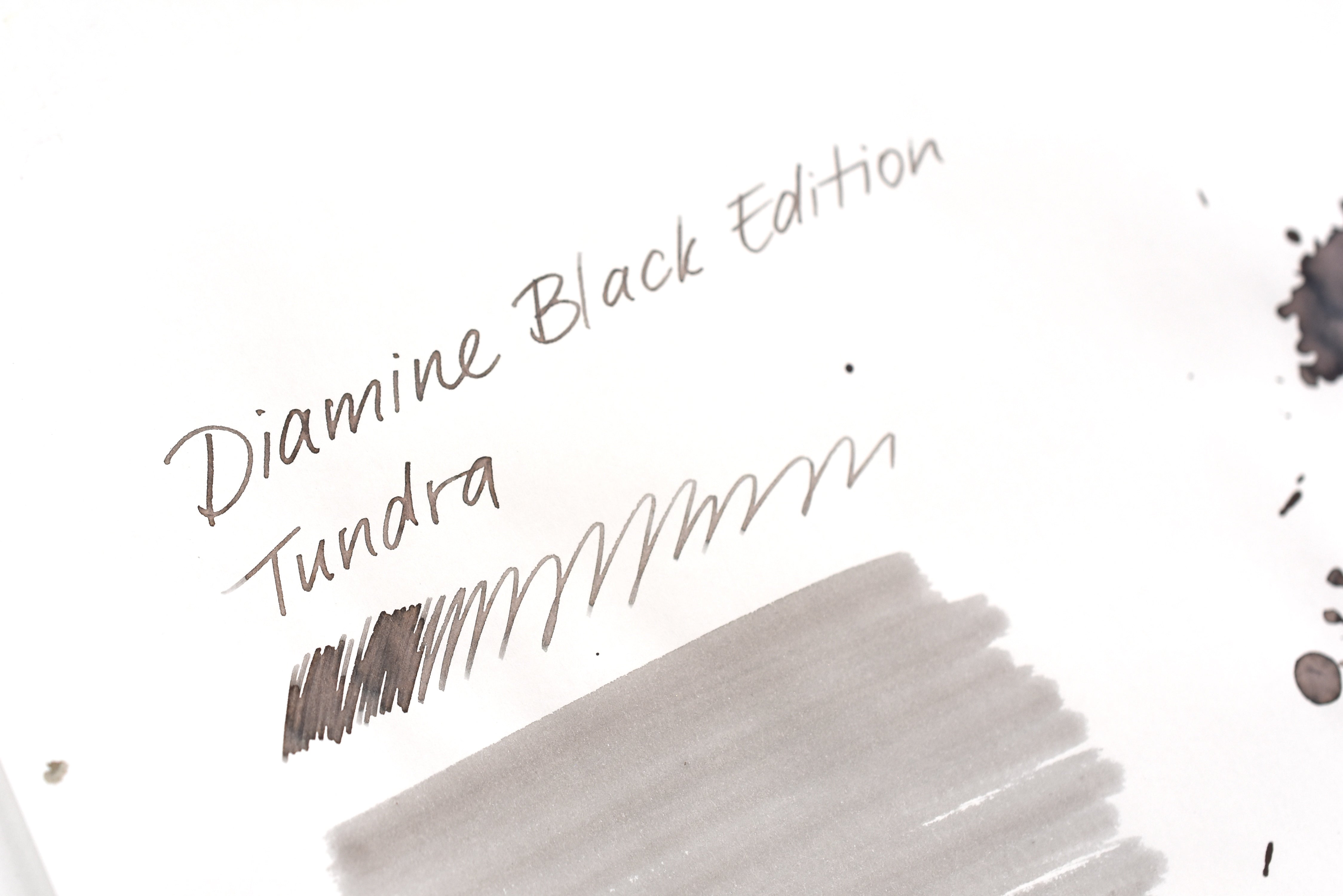 Diamine Black Edition - Standard - Tundra
