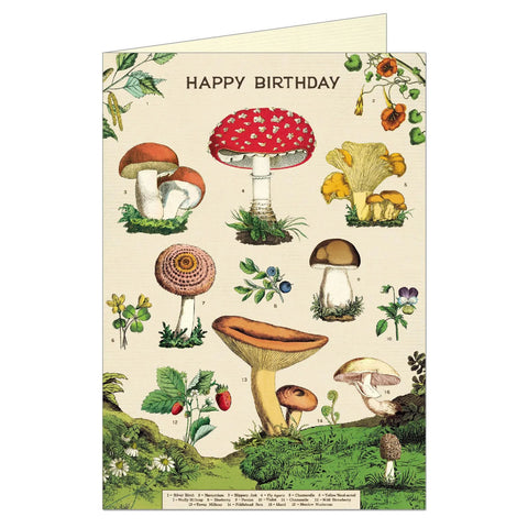 Happy Birthday Mushroom - Greeting Card