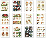 Cavallini - Vintage Stickers - Mushrooms