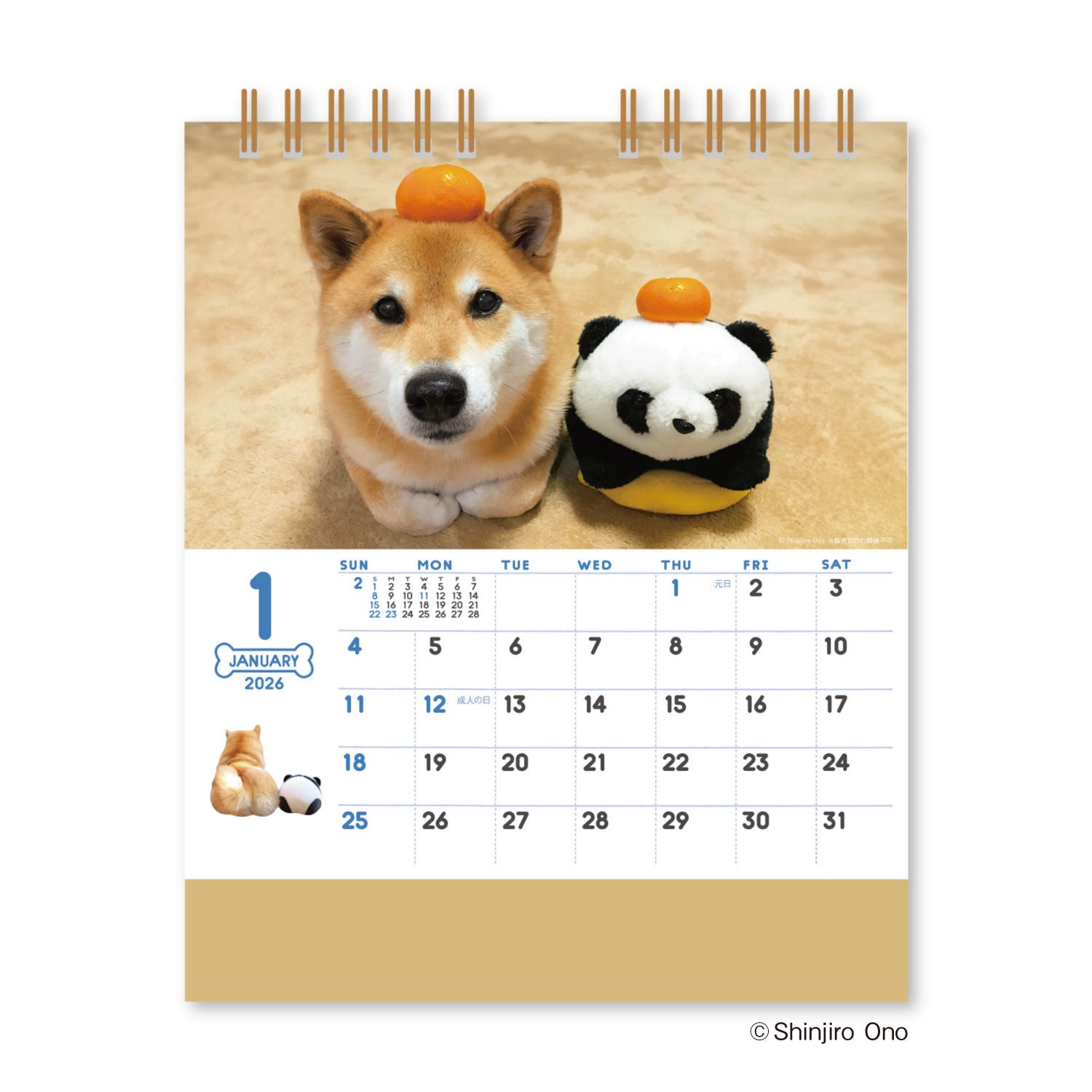 Shinnippon 2026 - Desktop Monthly Calendar - Walking with Shiba Inu Maru