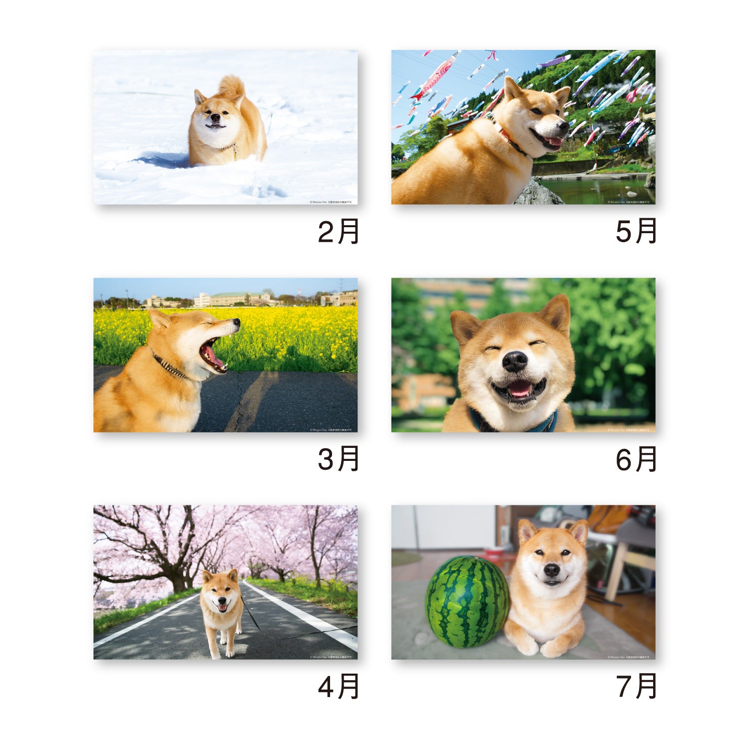 Shinnippon 2026 - Desktop Monthly Calendar - Walking with Shiba