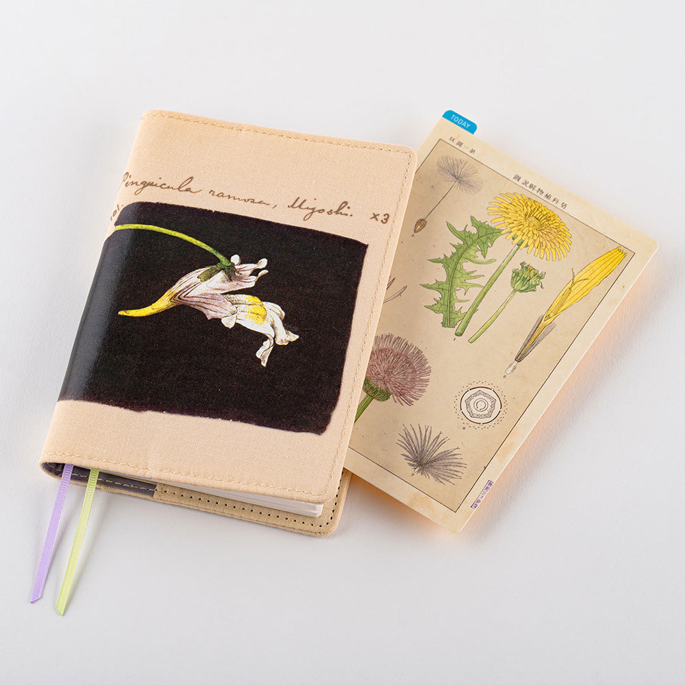 Hobonichi Pencil Board - Tomitaro Makino – Yoseka Stationery