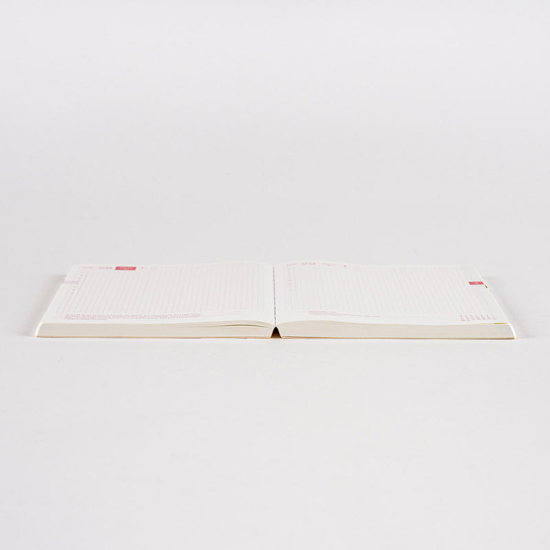 Hobonichi Techo Cousin Book [Japanese/A5/January 2024 Start/Monday  Start/6-months x 2books]