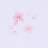 Cherry Blossom Petals