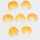 Flower Petal Orange (Large)