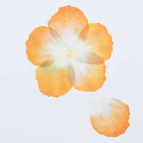 Flower Petal Orange (Large)