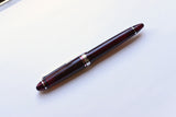 Sailor 1911 Standard Fountain Pen – Pen of the Year 2021