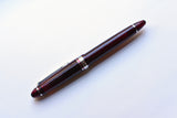 Sailor 1911 Standard Fountain Pen – Pen of the Year 2021