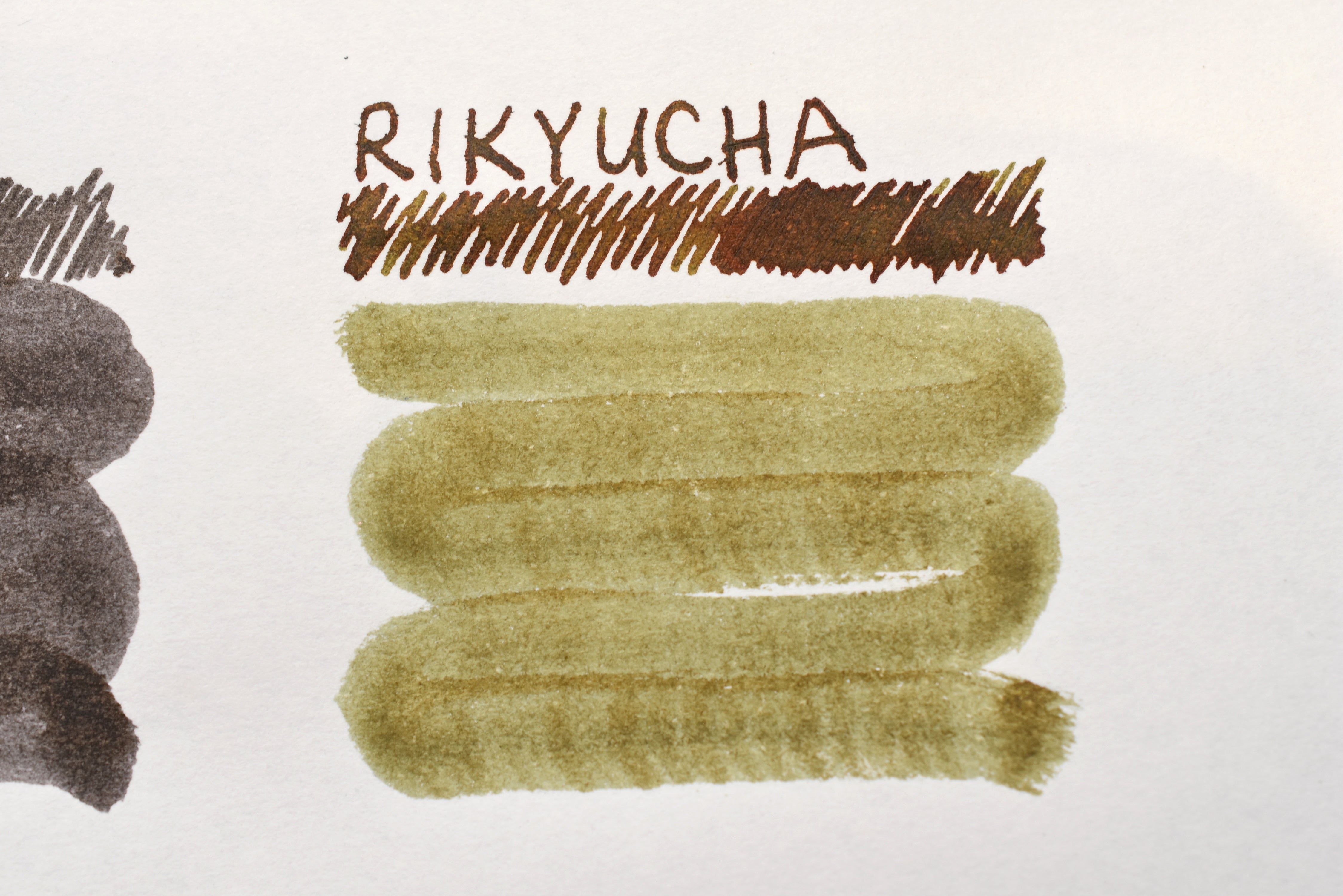 Sailor Shikiori Rikyu-Cha Ink - 20mL Bottle