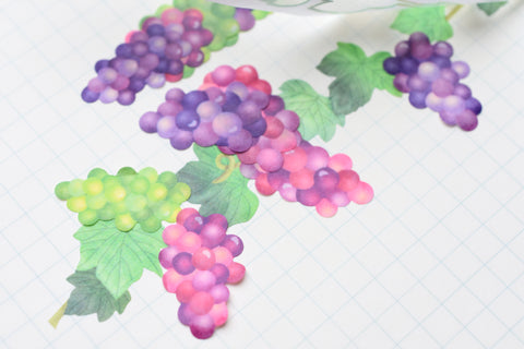 Bande Masking Art Kit - Grape Vine