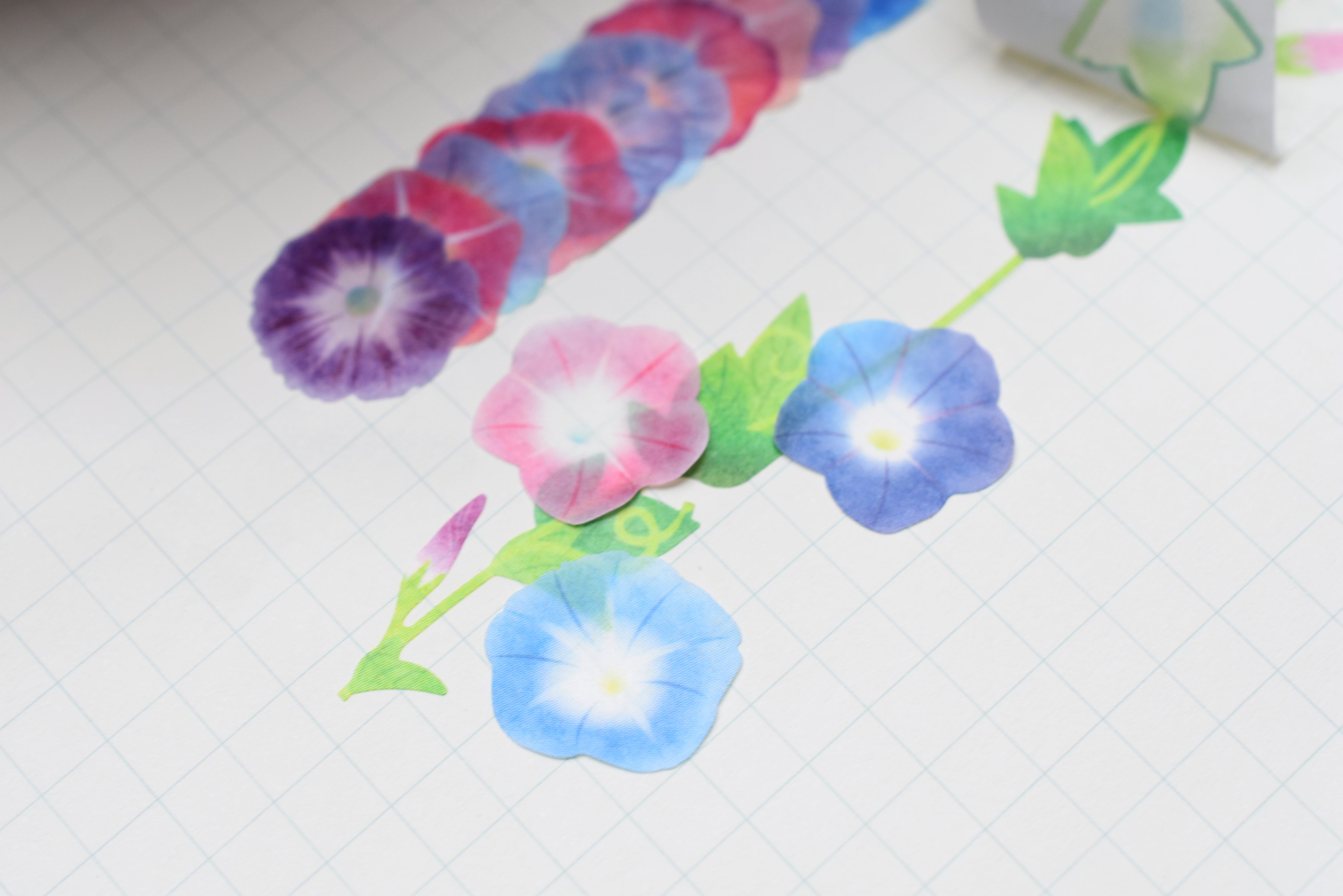 Bande Masking Art Kit - Morning Glory