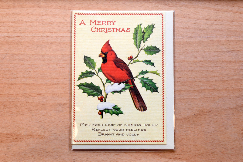 Christmas Bird Greeting Card