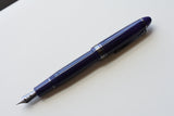 Sailor 1911 Large Fountain Pen – Wicked Witch of the West