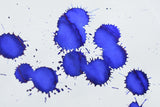 J. Herbin Ink - Bleu Myosotis - 10 mL