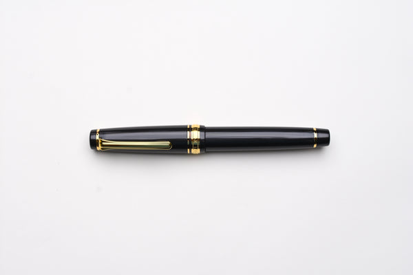 Sailor Pro Gear Fountain Pen - Knight to E4 – Yoseka Stationery