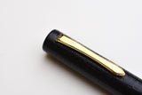 Pilot Ishime Urushi Fountain Pen - Black