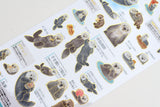 Illustrated Picture Book Stickers - Otters