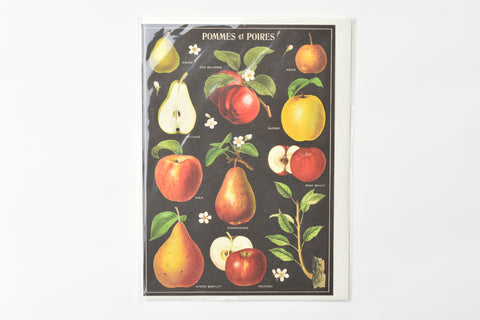 Apples and Pears Greeting Card