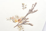 MU Collection Dried Flower Sticker