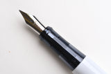 Pilot Explorer Fountain Pen - White