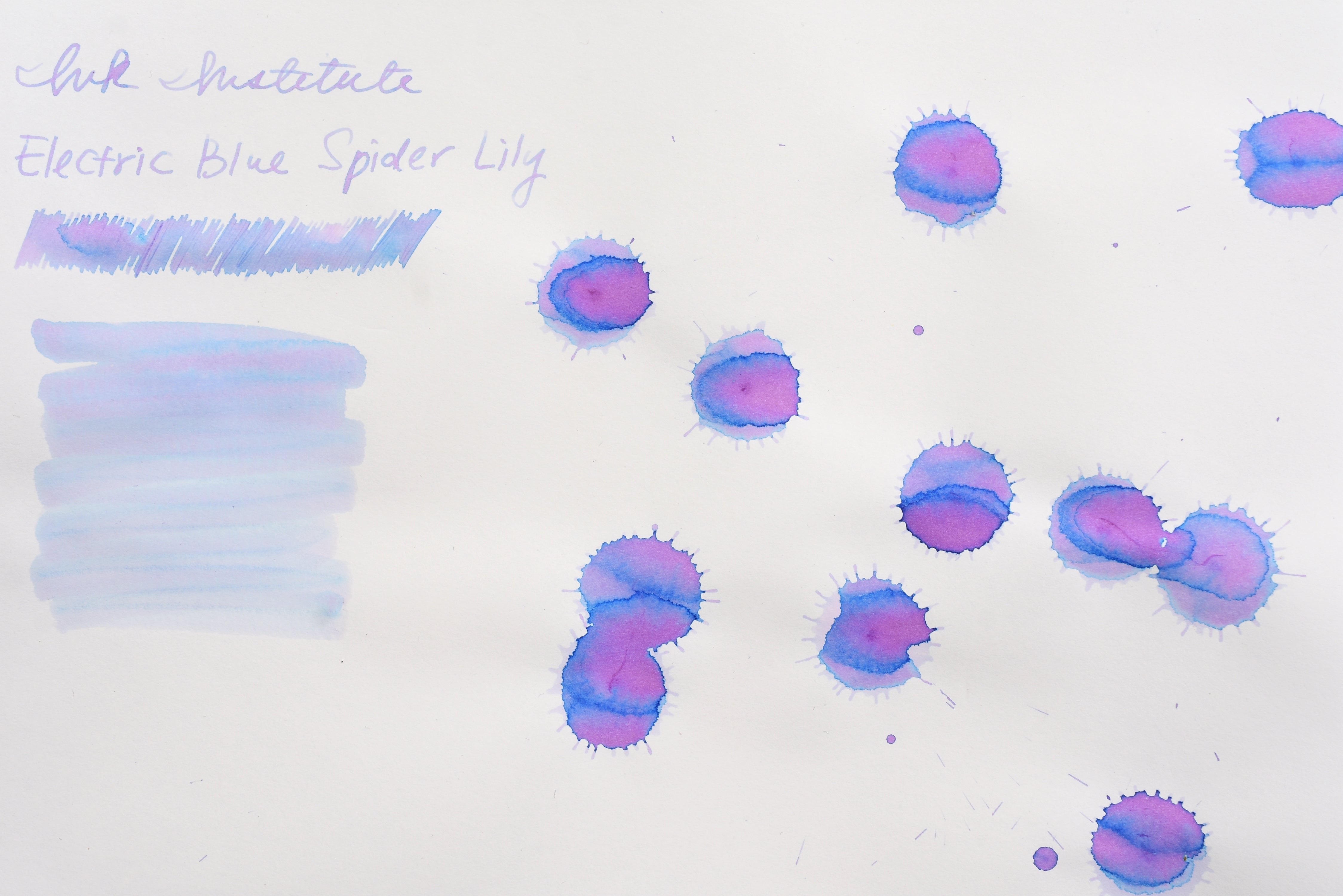 electric blue spider lily Ink Institute Meander Series