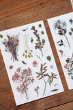 LCN Print-On Stickers - Dried Flower