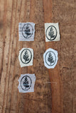 LCN Fern Specimen Metal Stamp - Common Wedgelet Fern (Ellipse)