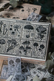 LCN Fungus Notecard Rubber Stamps ll
