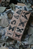 LCN Butterfly Rubber Stamp Set