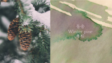 Dominant Industry - Winter Pine No.119