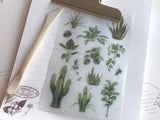 MU Print-On Stickers - Potted Succulents - #37