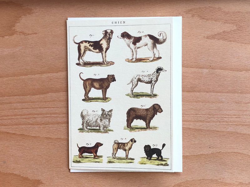 Dog Chart Greeting Card