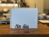 Peeking Cat Flat Note Cards - Box of 8