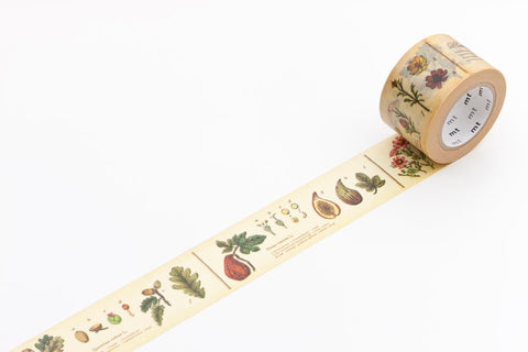 mt Washi Tape - Encyclopedia / Plant