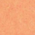 Apricot Tea - 5ml