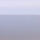 Misty White